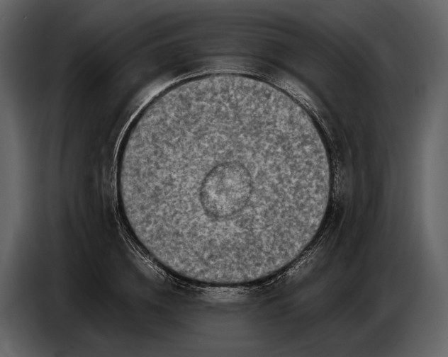 X0000086960836200705071334