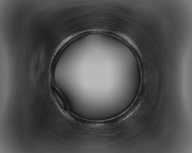 X0000086960837200705071334
