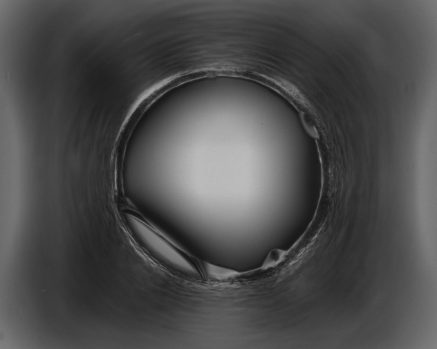 X0000086960838200705071334