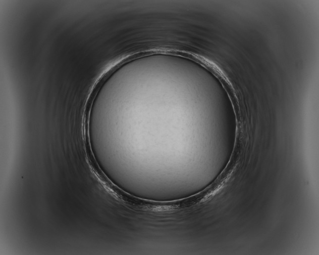 X0000086960839200705071334