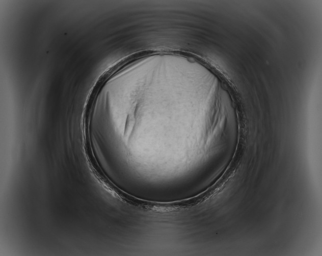 X0000086960840200705071334