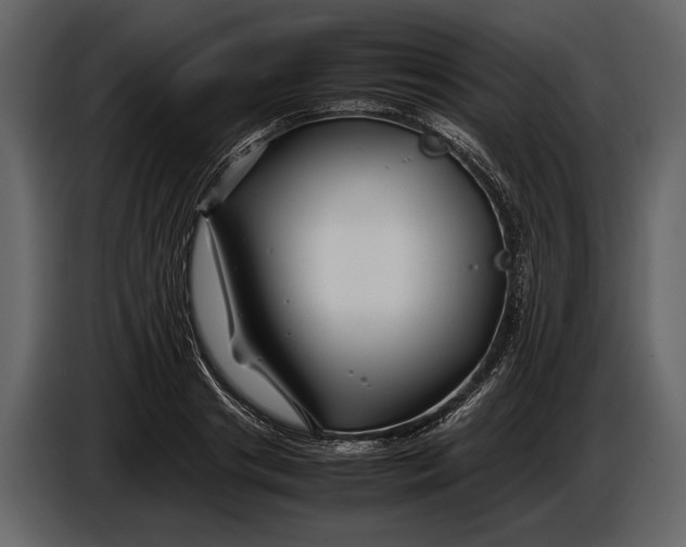 X0000086960841200705071334