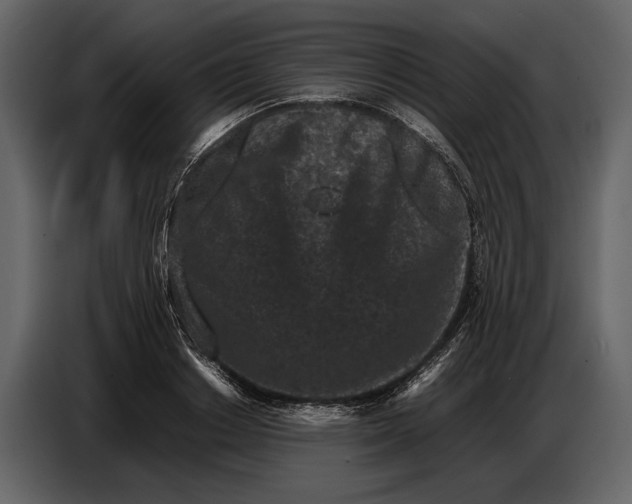 X0000086960842200705071334