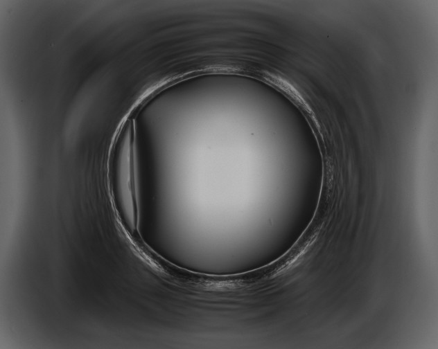 X0000086960843200705071334