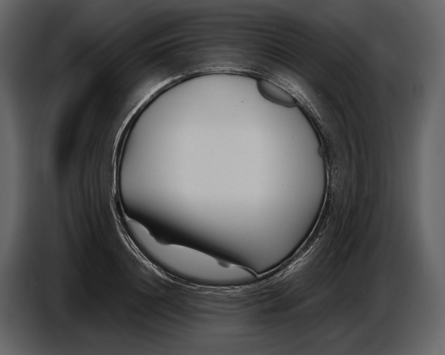 X0000086960844200705071334