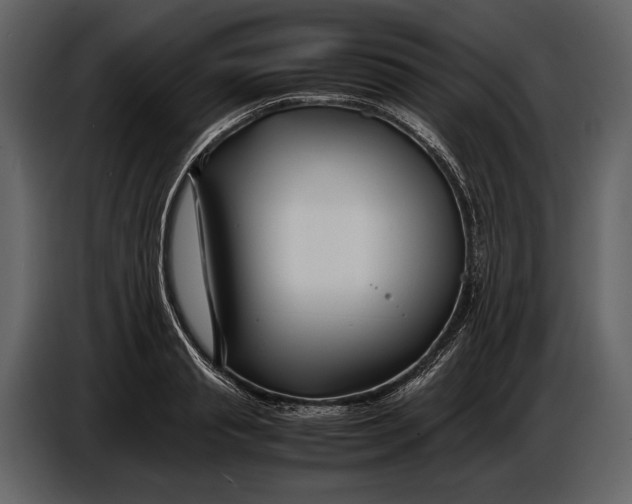X0000086960845200705071334