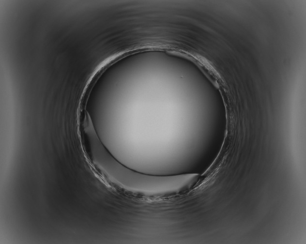 X0000086960846200705071334