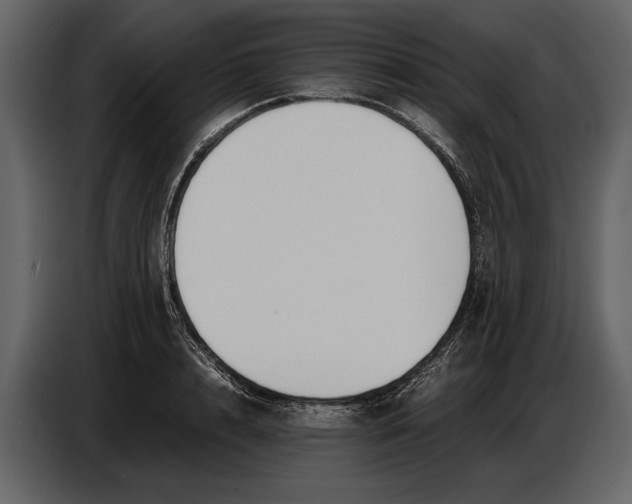 X0000086960848200705071334