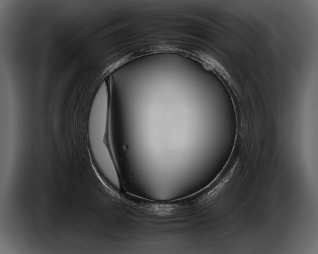 X0000086960849200705071334