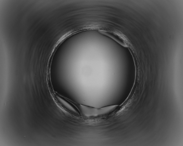X0000086960850200705071334