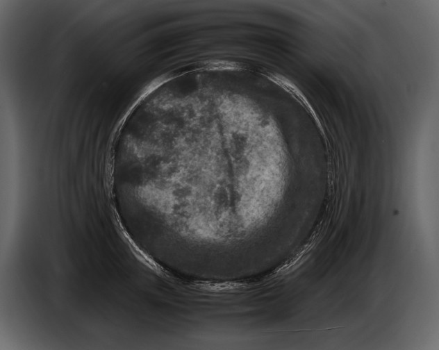 X0000086960851200705071334