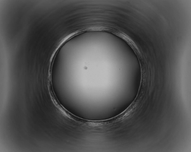 X0000086960852200705071334