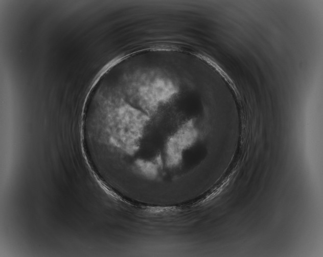 X0000086960853200705071334