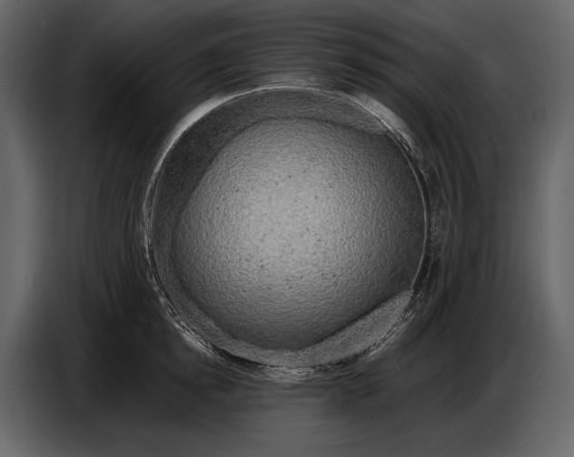 X0000086960854200705071334