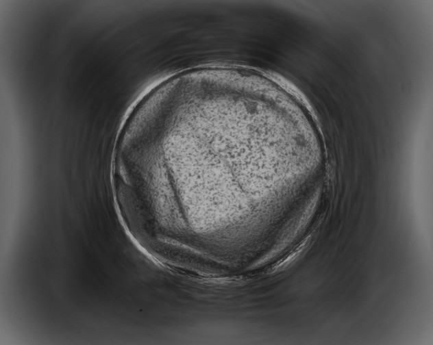 X0000086960855200705071334