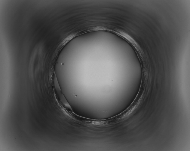 X0000086960857200705071334