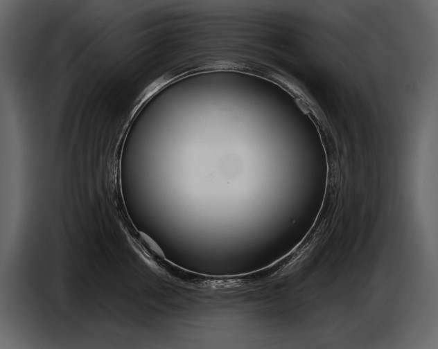 X0000086960858200705071334