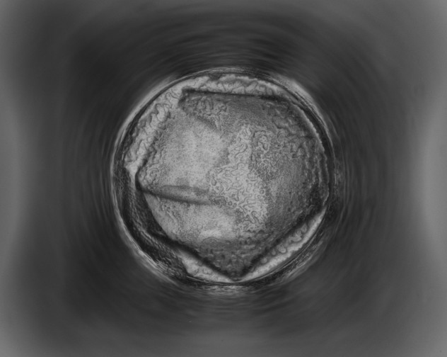 X0000086960859200705071334