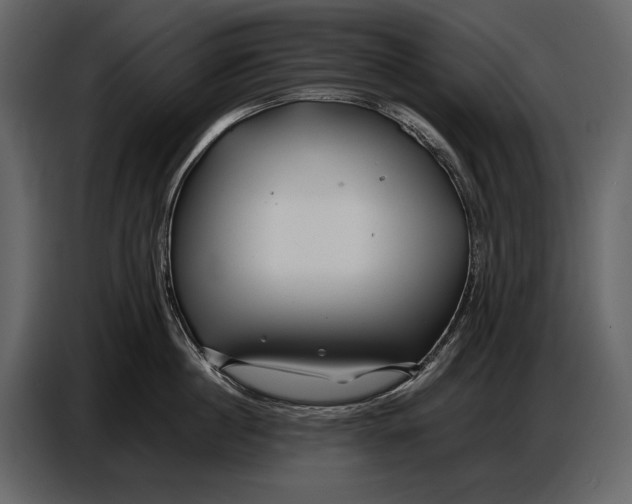 X0000086960860200705071334