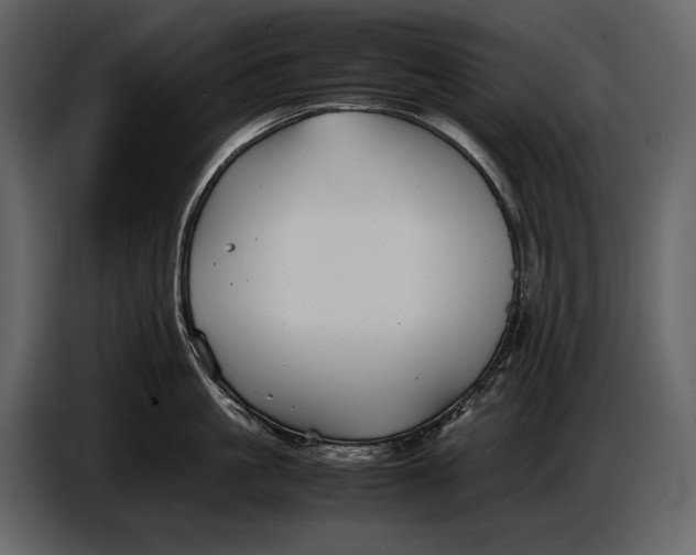 X0000086960861200705071334
