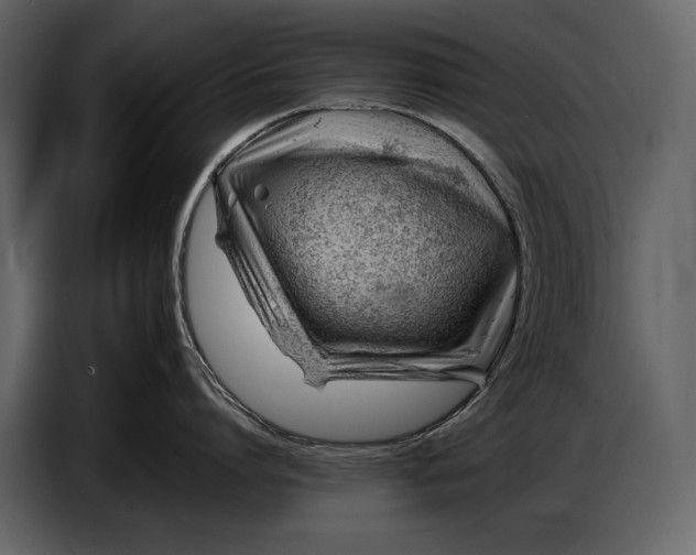 X0000086960864200705071334