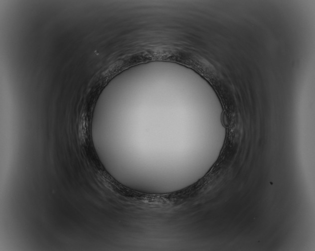 X0000086960866200705071334