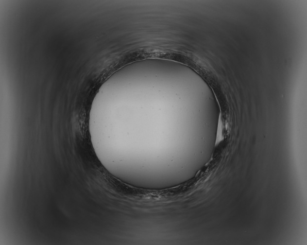 X0000086960867200705071334