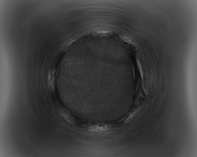 X0000086960868200705071334
