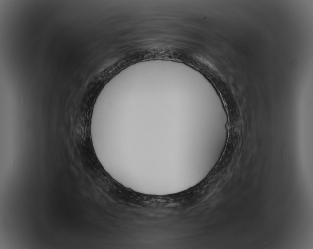 X0000086960869200705071334