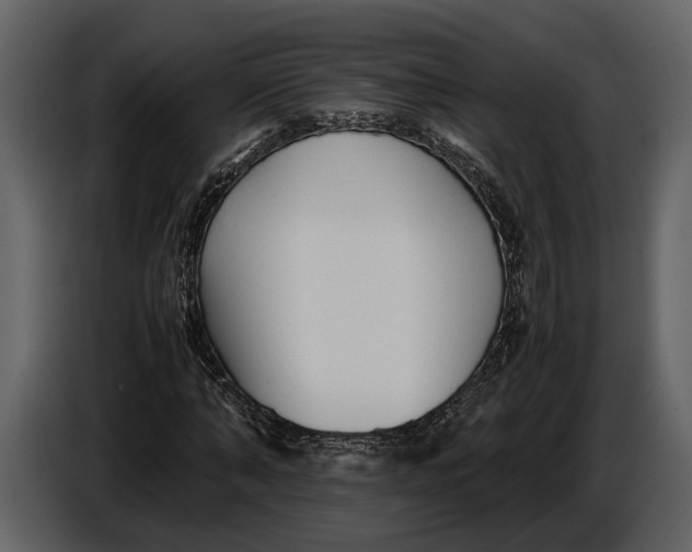 X0000086960870200705071334