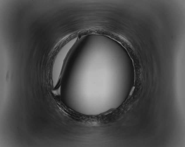 X0000086960872200705071334
