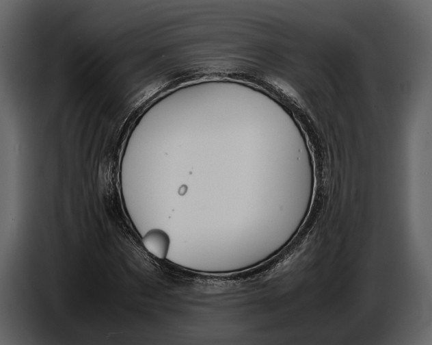 X0000086960873200705071334