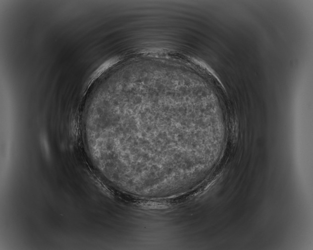 X0000086960874200705071334