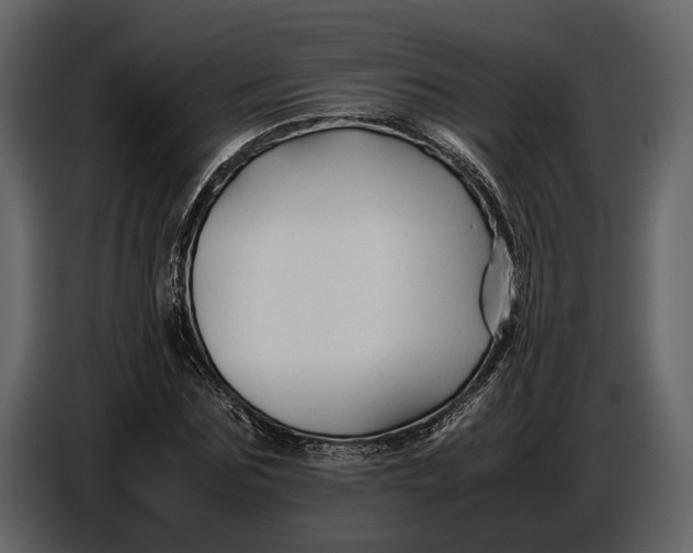 X0000086960875200705071334