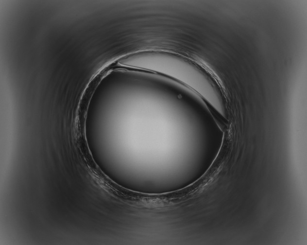 X0000086960876200705071334