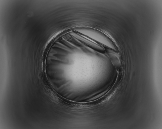X0000086960877200705071334
