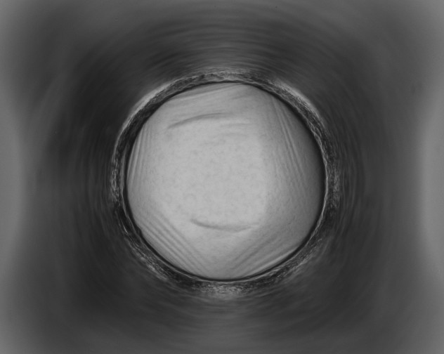 X0000086960878200705071334