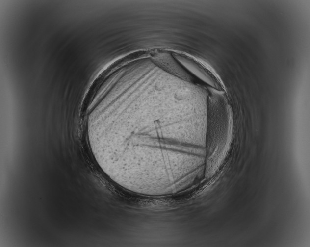 X0000086960879200705071334