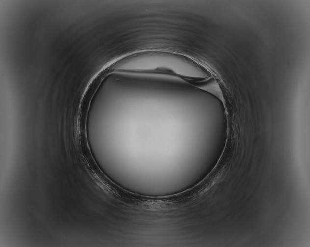 X0000086960880200705071334