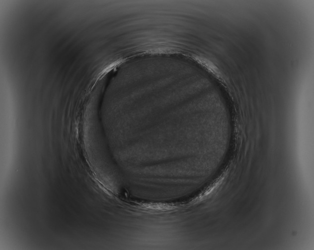 X0000086960881200705071334
