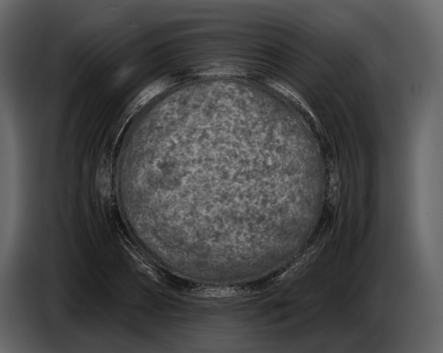 X0000086960882200705071334