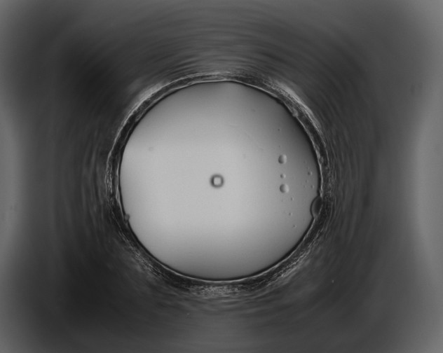 X0000086960883200705071334
