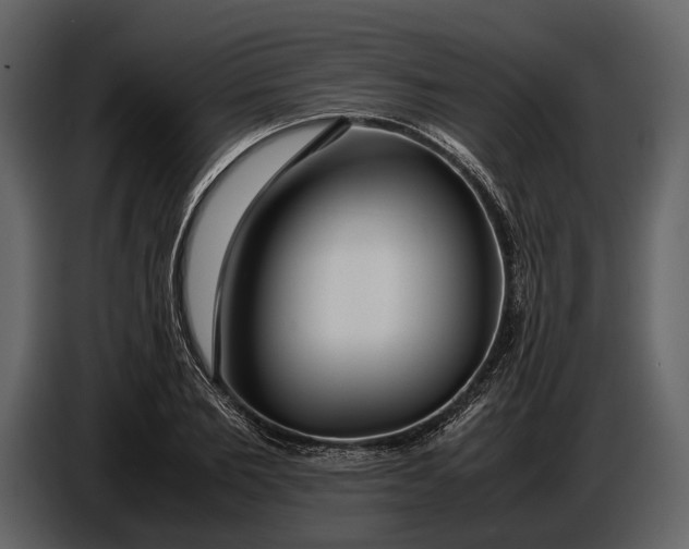 X0000086960885200705071334