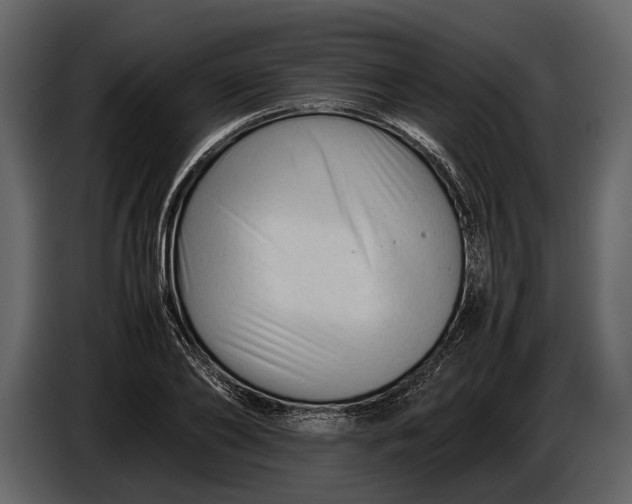 X0000086960886200705071334