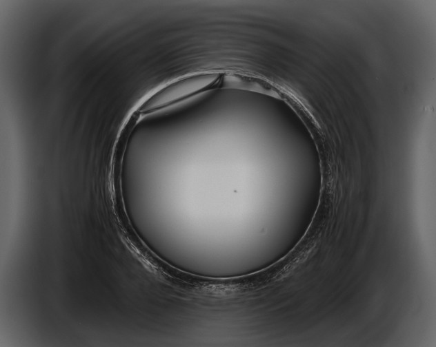 X0000086960888200705071333