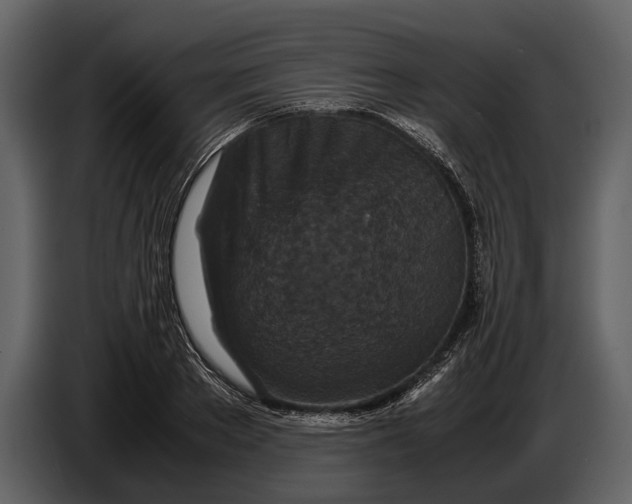 X0000086960889200705071333