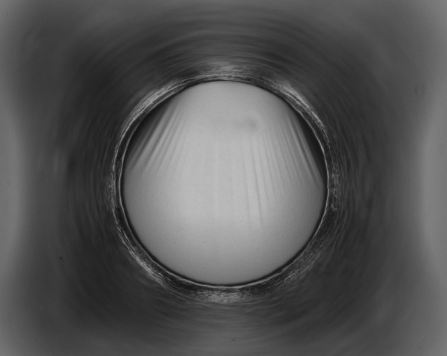 X0000086960890200705071333