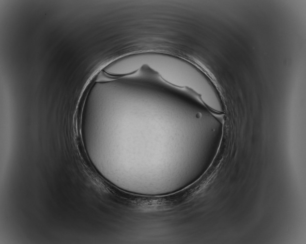 X0000086960891200705071333