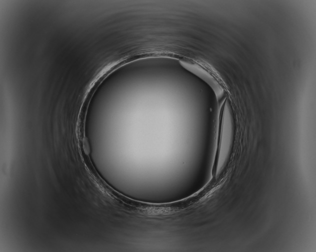 X0000086960893200705071333
