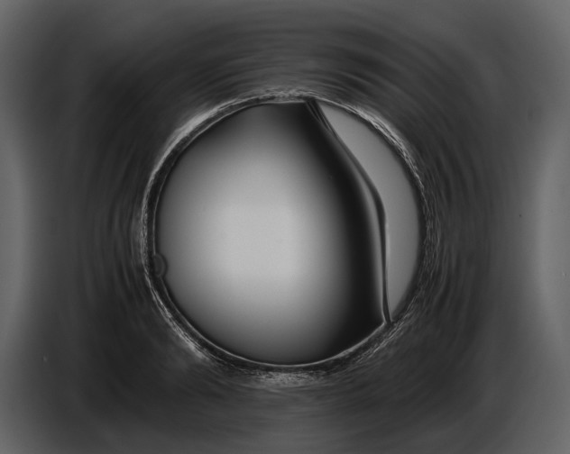 X0000086960894200705071333